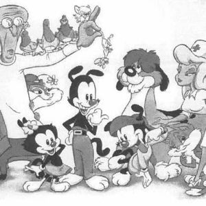 Meet your Posher, Brenda